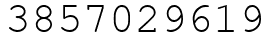 Число 3857029619.