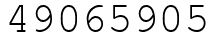 Число 49065905.