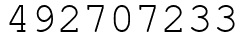 Число 492707233.