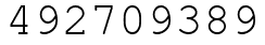 Число 492709389.