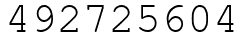 Число 492725604.