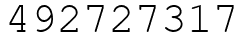 Число 492727317.