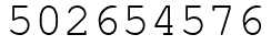 Число 502654576.