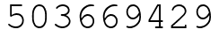 Число 503669429.