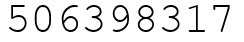 Число 506398317.