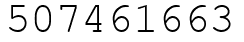 Число 507461663.