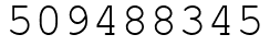 Число 509488345.