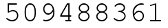 Число 509488361.