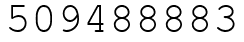 Число 509488883.