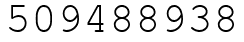 Число 509488938.