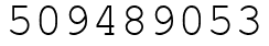 Число 509489053.