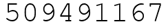 Число 509491167.