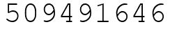 Число 509491646.