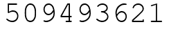 Число 509493621.
