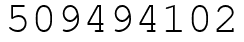 Число 509494102.