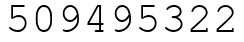 Число 509495322.