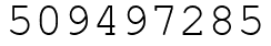 Число 509497285.