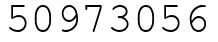 Число 50973056.