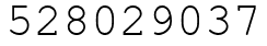 Число 528029037.