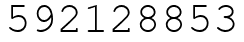 Число 592128853.