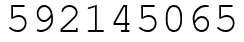 Число 592145065.