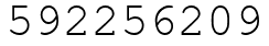 Число 592256209.