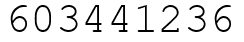 Число 603441236.