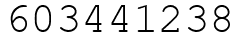Число 603441238.