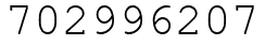 Число 702996207.