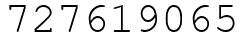 Число 727619065.
