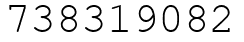 Число 738319082.