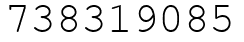 Число 738319085.