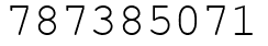 Число 787385071.
