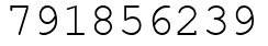 Число 791856239.