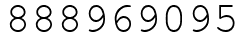 Число 888969095.