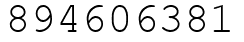 Число 894606381.