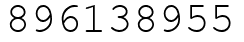 Число 896138955.