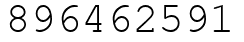 Число 896462591.