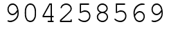 Число 904258569.