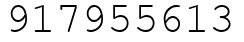 Число 917955613.