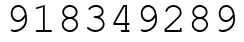 Число 918349289.