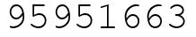 Число 95951663.
