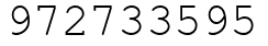 Число 972733595.