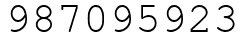 Число 987095923.