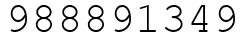Число 988891349.