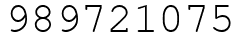 Число 989721075.