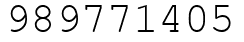Число 989771405.