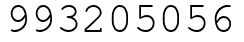 Число 993205056.