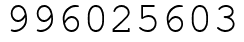 Число 996025603.