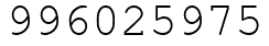 Число 996025975.